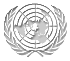 MUN Logo